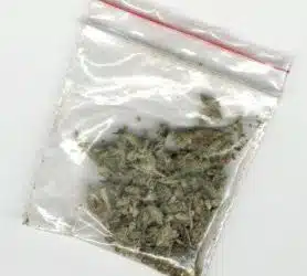 Up in Smoke? Marijuana Decriminalization and DUI
