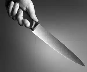 Blog 3 “We All Go A Little Mad Sometimes:” Murder Defense in D.C.