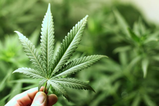 Understanding When Drug Possession Falls Under Federal Law when is drug possession a federal crime Understanding When Drug Possession Falls Under Federal Law when is drug possession a federal crime
